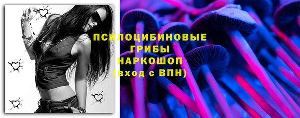 прущие грибы Магадан