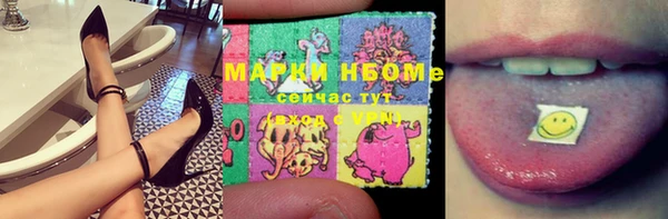 прущие грибы Магадан