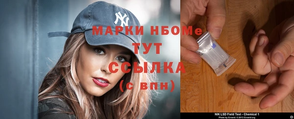 прущие грибы Магадан