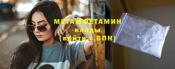 прущие грибы Магадан