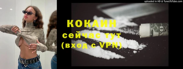 прущие грибы Магадан