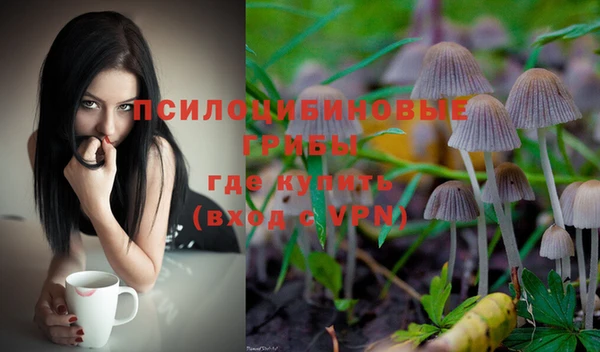 Альфа ПВП Лиски