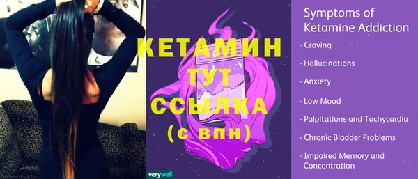 прущие грибы Магадан